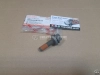 Болт шкива демпфера коленвала Haval H2, H6 1.5T (12мм)
